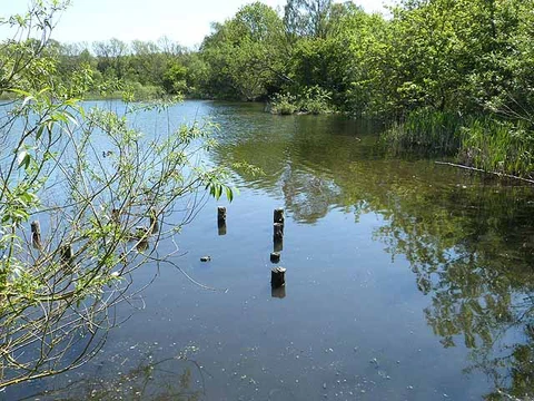 Joe's Pond and Rainton Meadows Loop