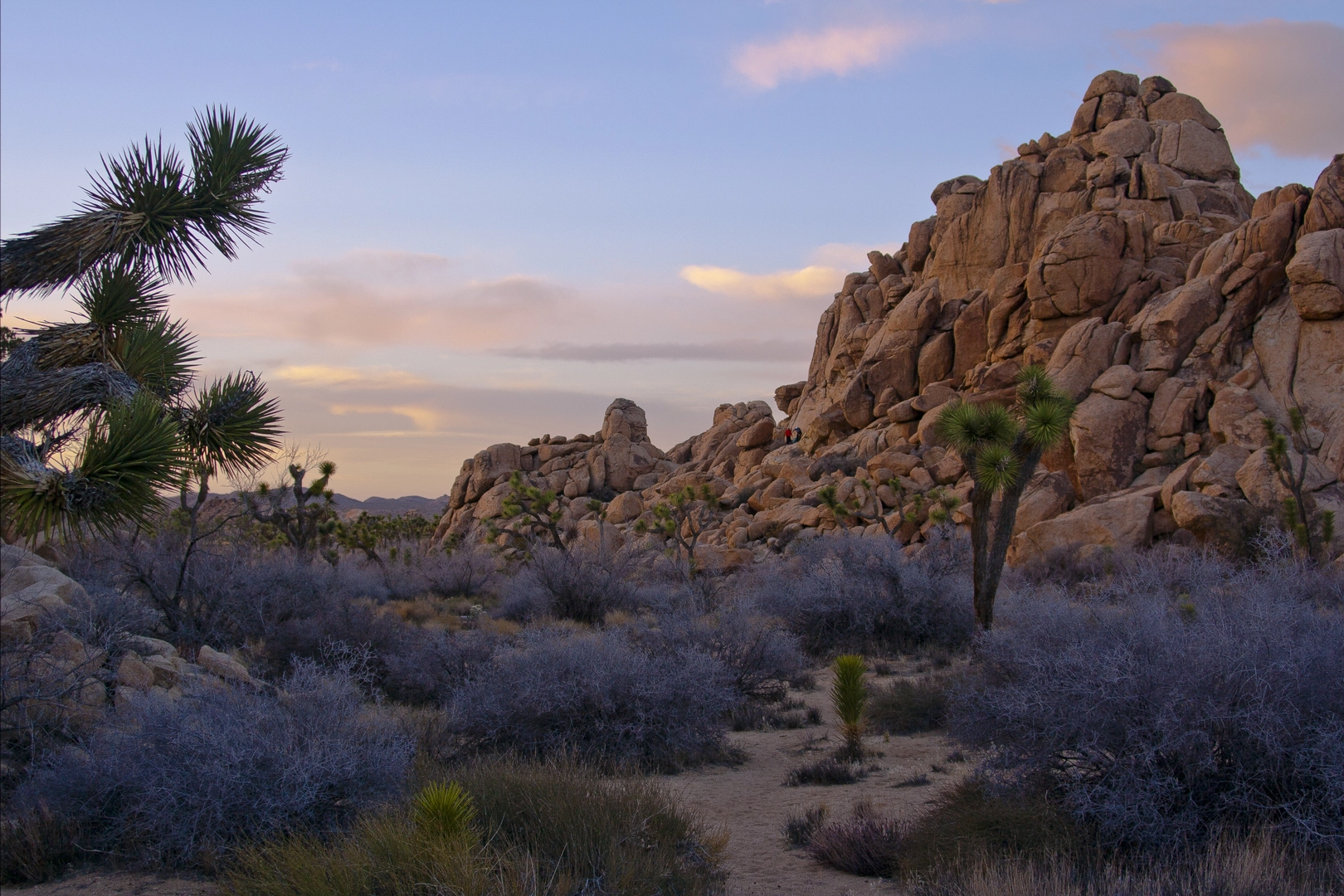 An image depicting the trail Pipes Canyon Trail and its surrounding area.