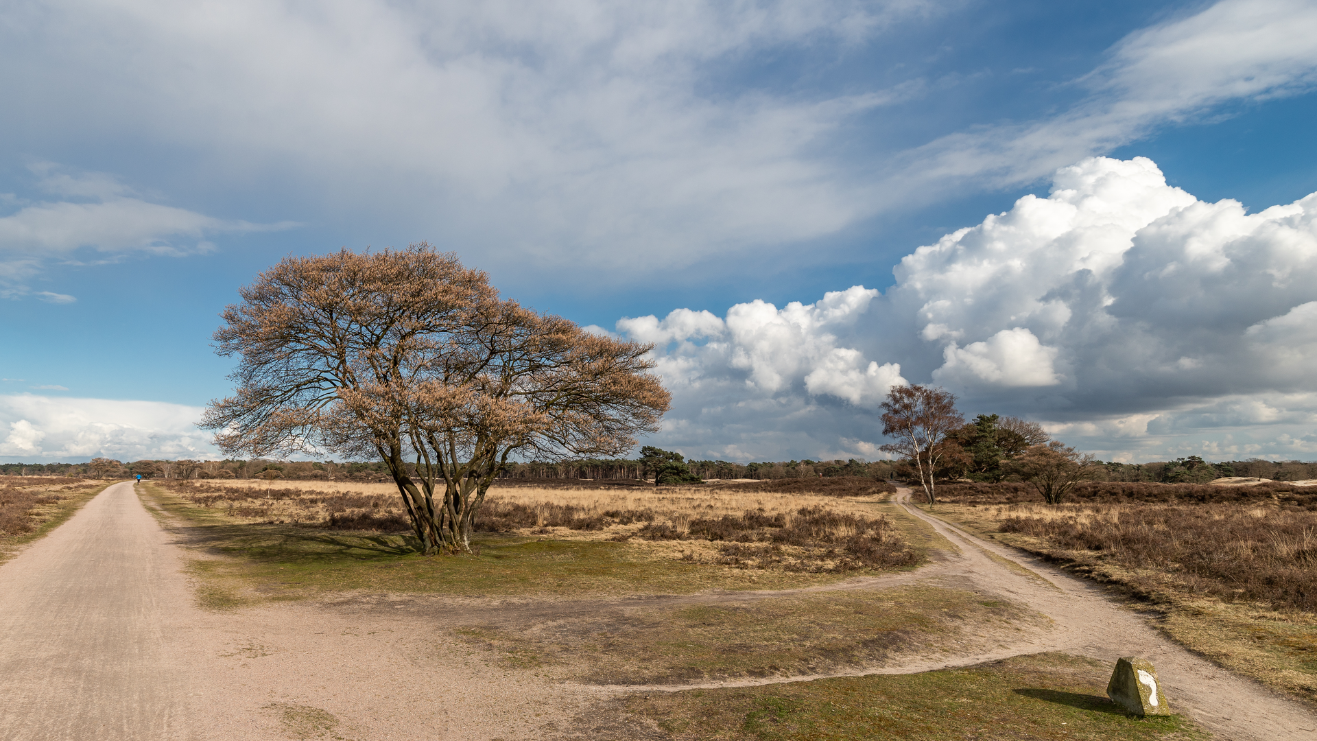 An image depicting the trail Zevenbergjes and Zuiderheide Loop and its surrounding area.