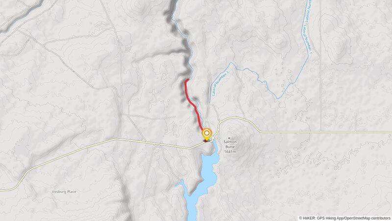 Salmon Falls Creek Out and Back