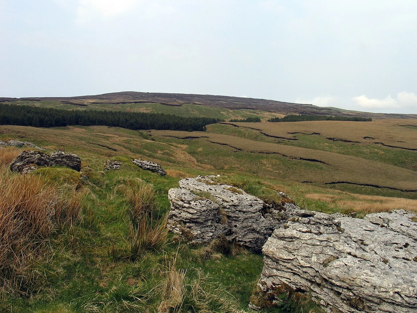 An image depicting the trail Mossdale Caverns Loop - Yarnbury and its surrounding area.