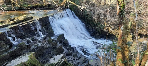 An image depicting the trail Fowley's Falls Trail and its surrounding area.
