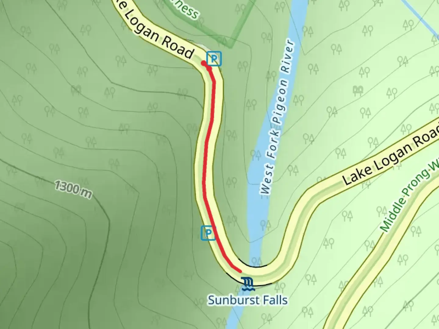 An image depicting the trail Lake Logan Road and its surrounding area.