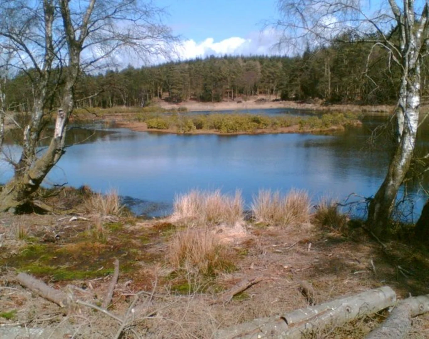 An image depicting the trail Irton Road to Ravenglass Walk and its surrounding area.