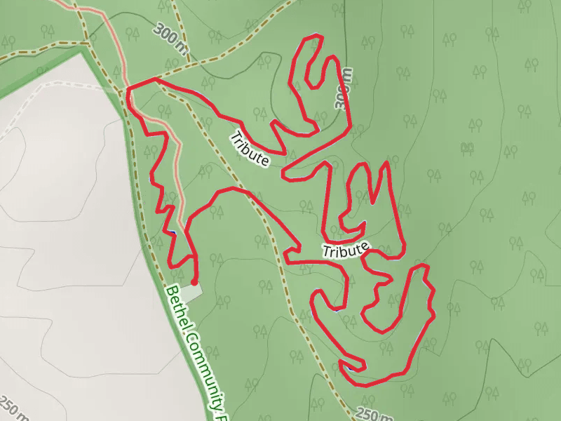 Tribute via Locke Mountain Road