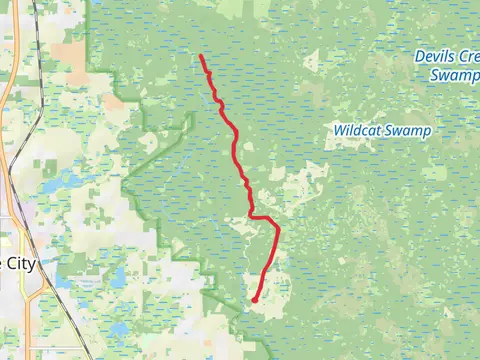 Florida National Scenic Trail from Sumner Lake Road