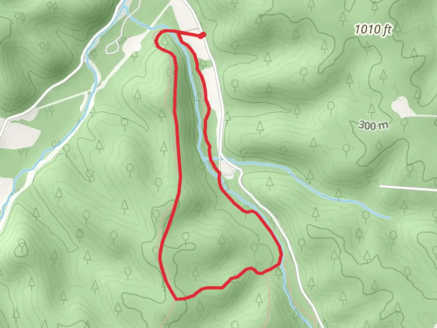 An image depicting the trail Acorn and Mushroom Loop Trail and its surrounding area.