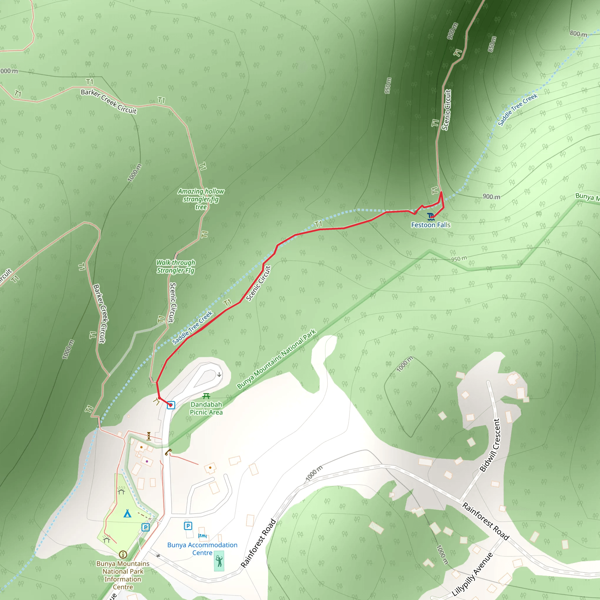 Festoon Falls Track mobile static map