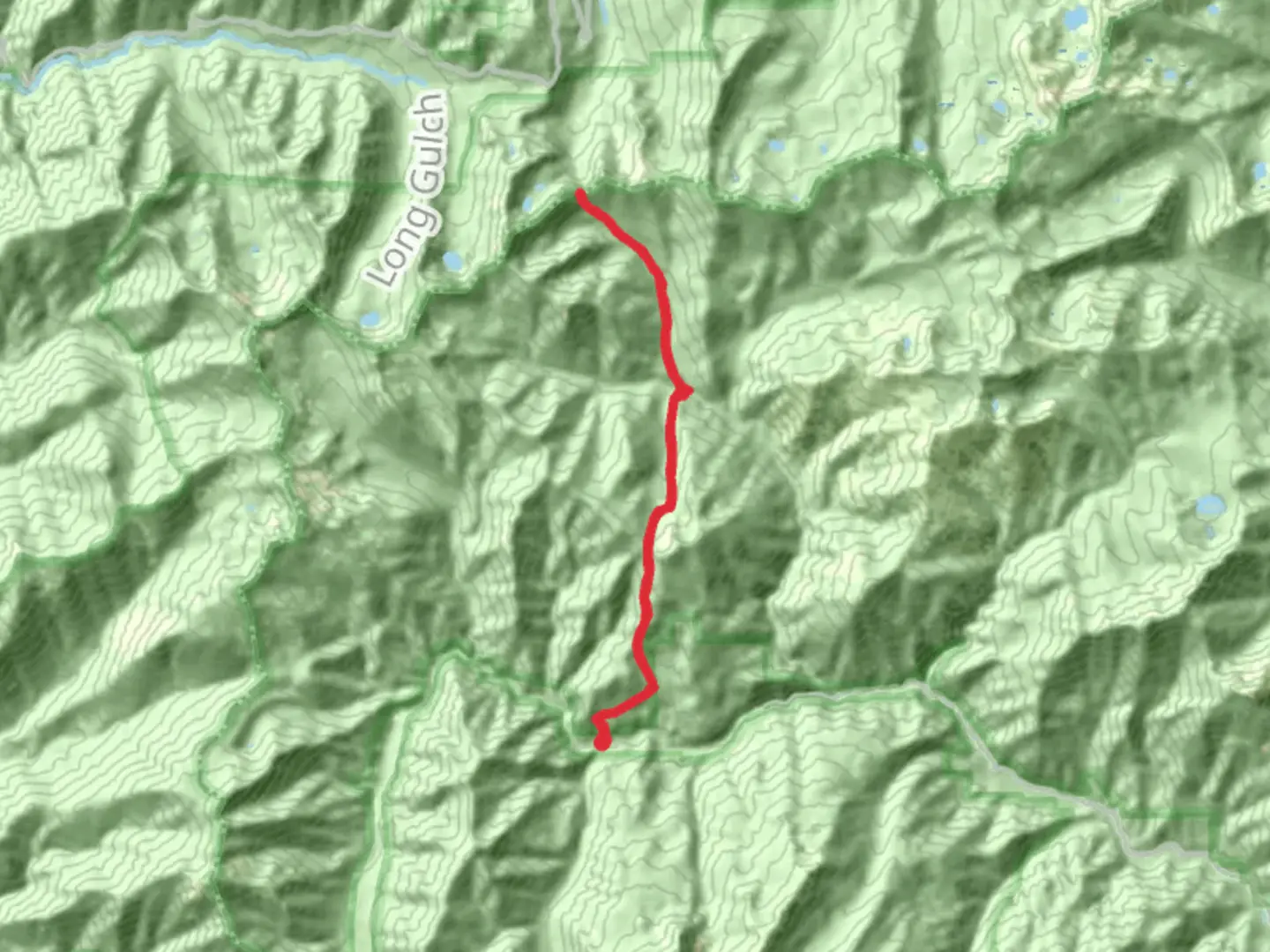 An image depicting the trail Saloon Creek Trail and its surrounding area.