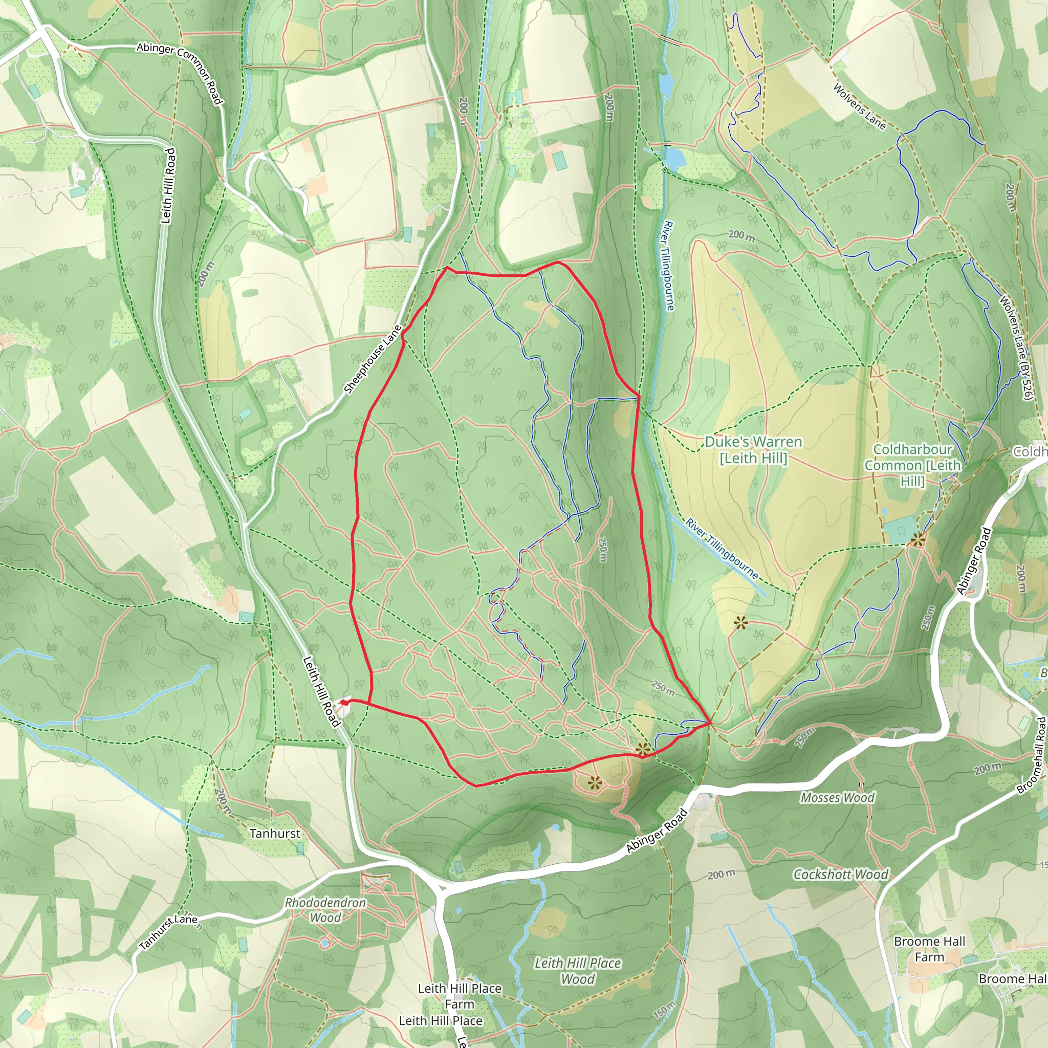 Leith Hill and Wotoon Common Loop mobile static map