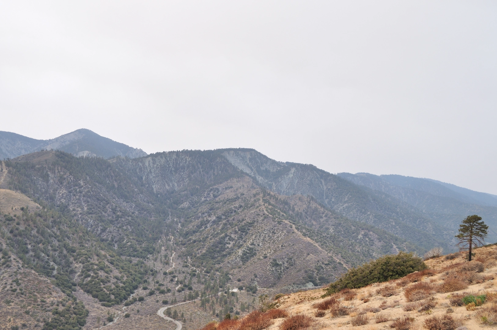 An image depicting the trail Wright Mountain via Acorn Trail and PCT and its surrounding area.