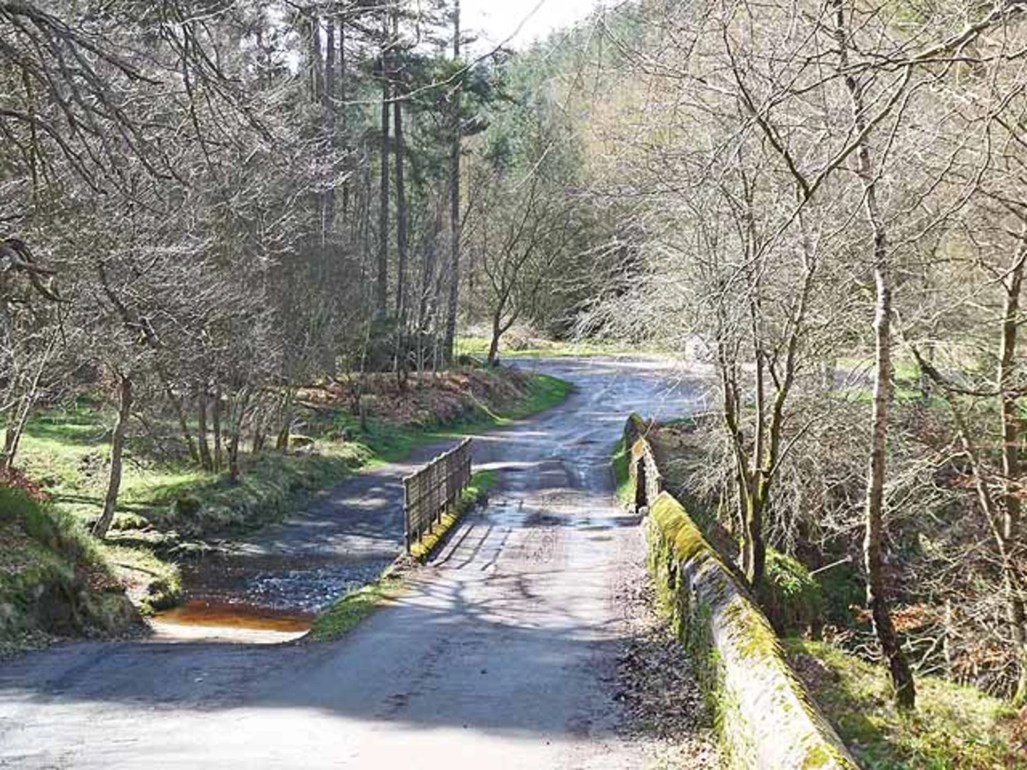 An image depicting the trail Blackling Hole, Old Bank and Strawberry Bank Loop and its surrounding area.