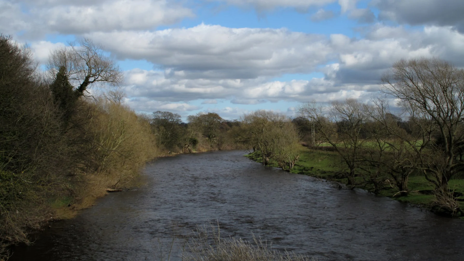 An image depicting the trail Hurworth Loop and its surrounding area.