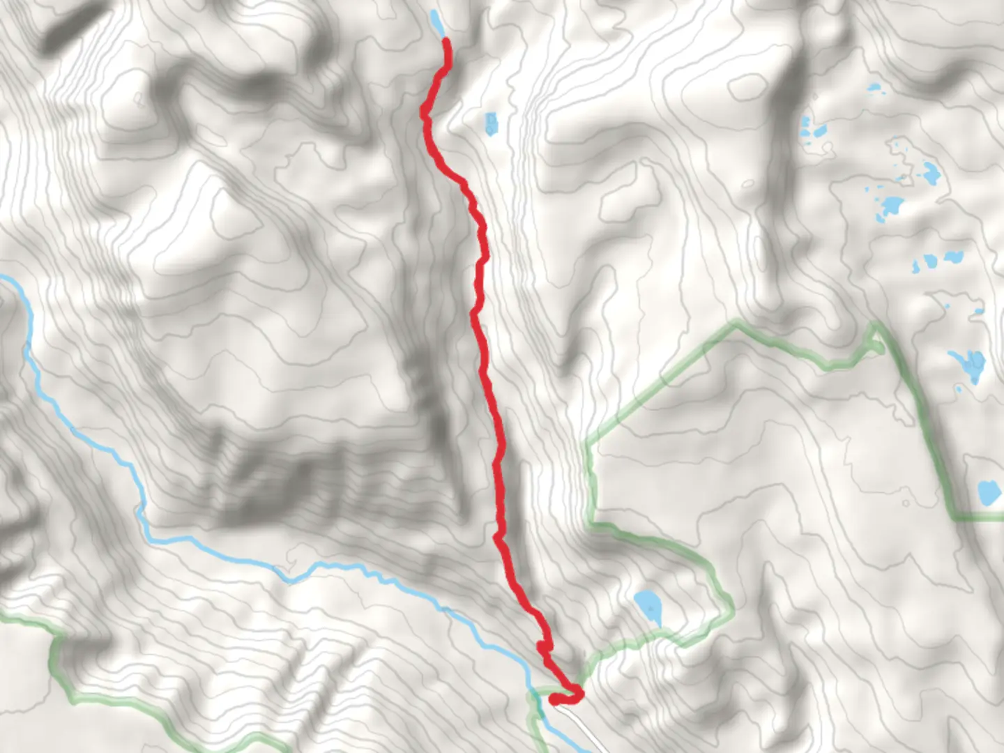 An image depicting the trail Deer Lake via Swift Creek Trail and its surrounding area.