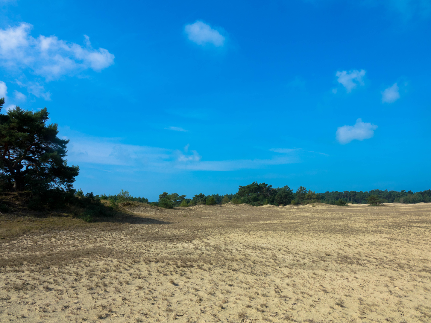 An image depicting the trail Hulshorsterheide and Beekhiozerzand via Kroopmanspad and its surrounding area.