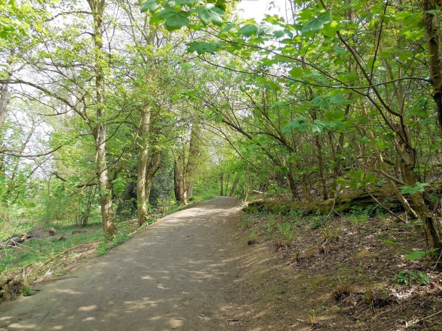 An image depicting the trail Priory Park Reigate Loop and its surrounding area.