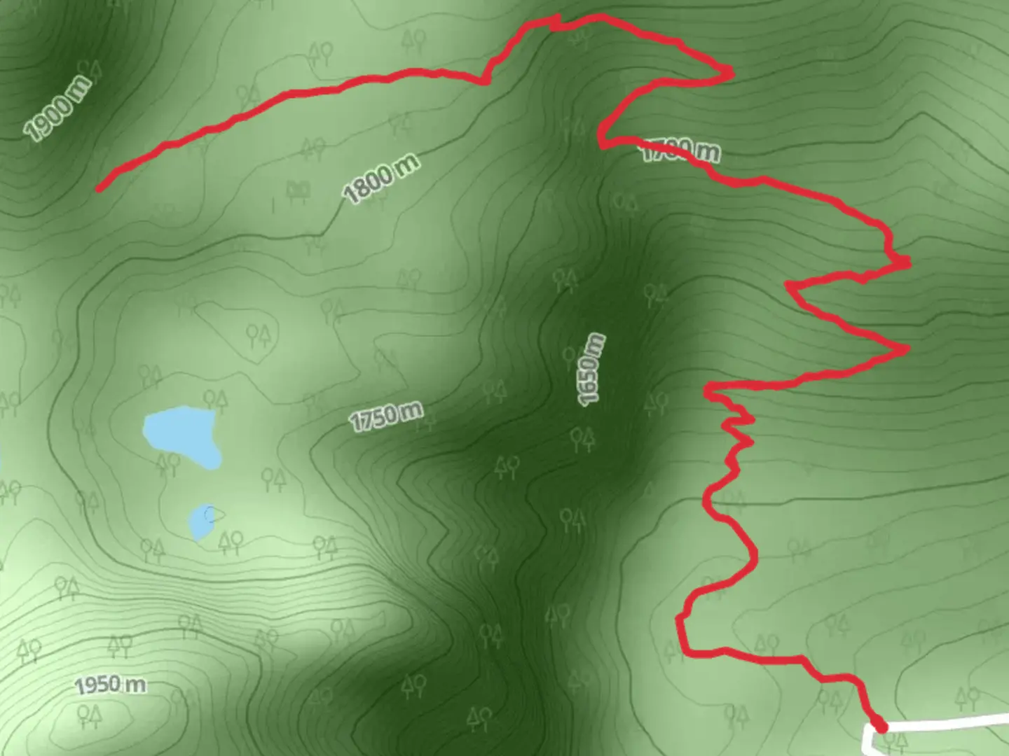 An image depicting the trail Cabin Lake Trail and its surrounding area.