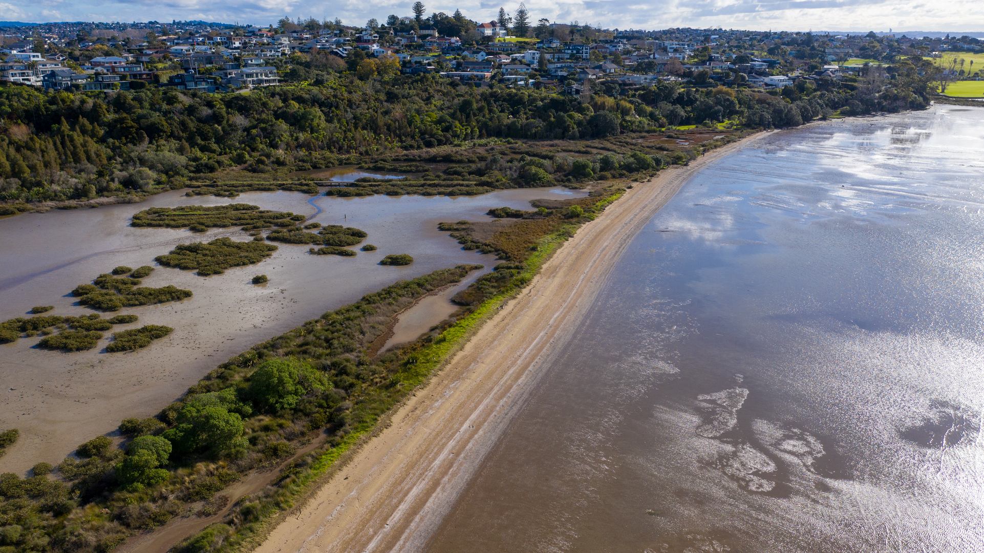 An image depicting the trail Tahuna Torea Reserve Low Tide Loop and its surrounding area.