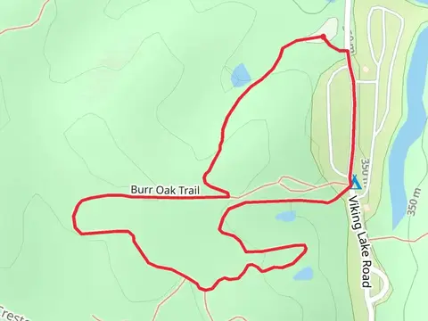 Burr Oak Loop Trail
