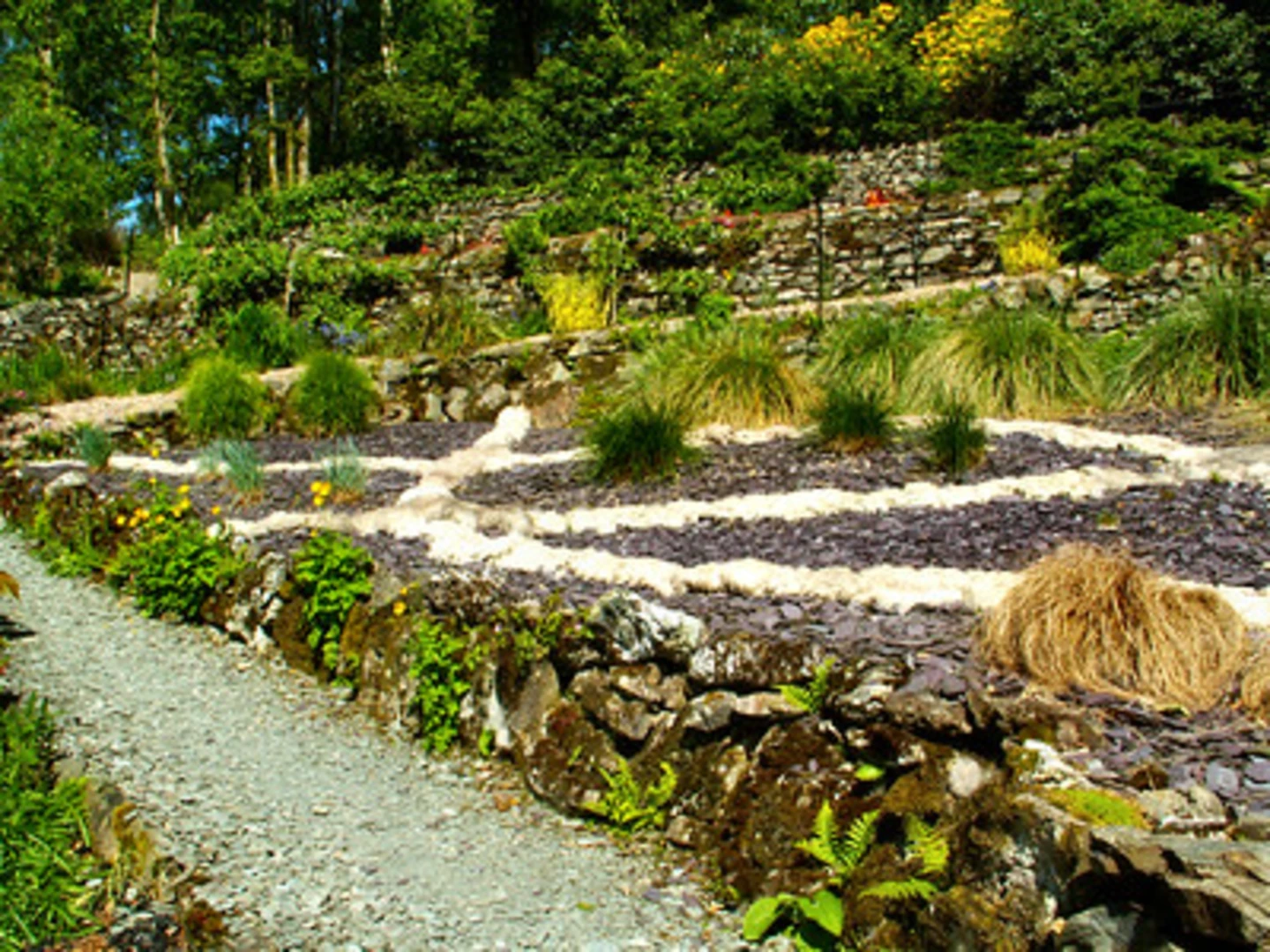 An image depicting the trail Oak Hill and Black Beck Coppice Walk and its surrounding area.