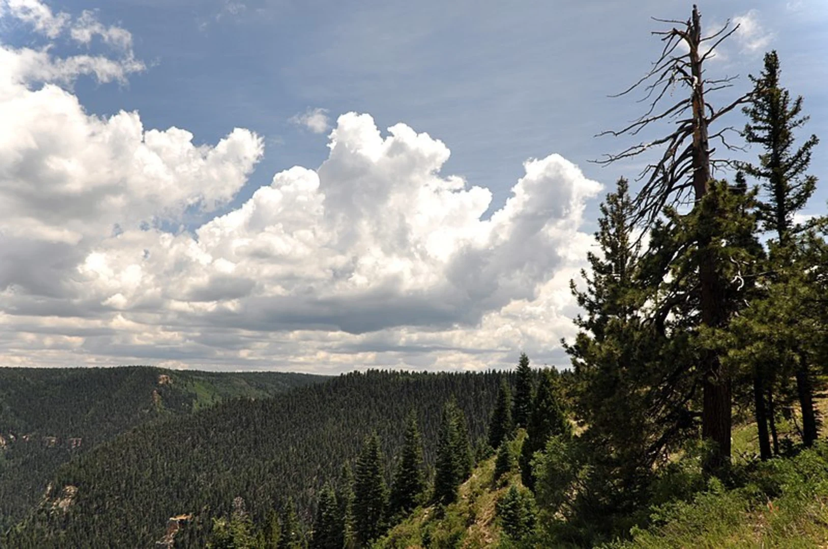 An image depicting the trail South Canyon Trail and its surrounding area.