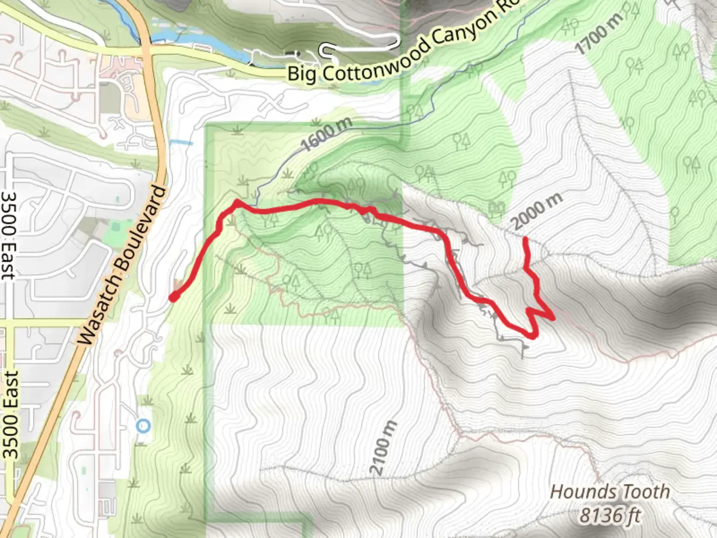 An image depicting the trail Ferguson Canyon Trail Out and Back and its surrounding area.