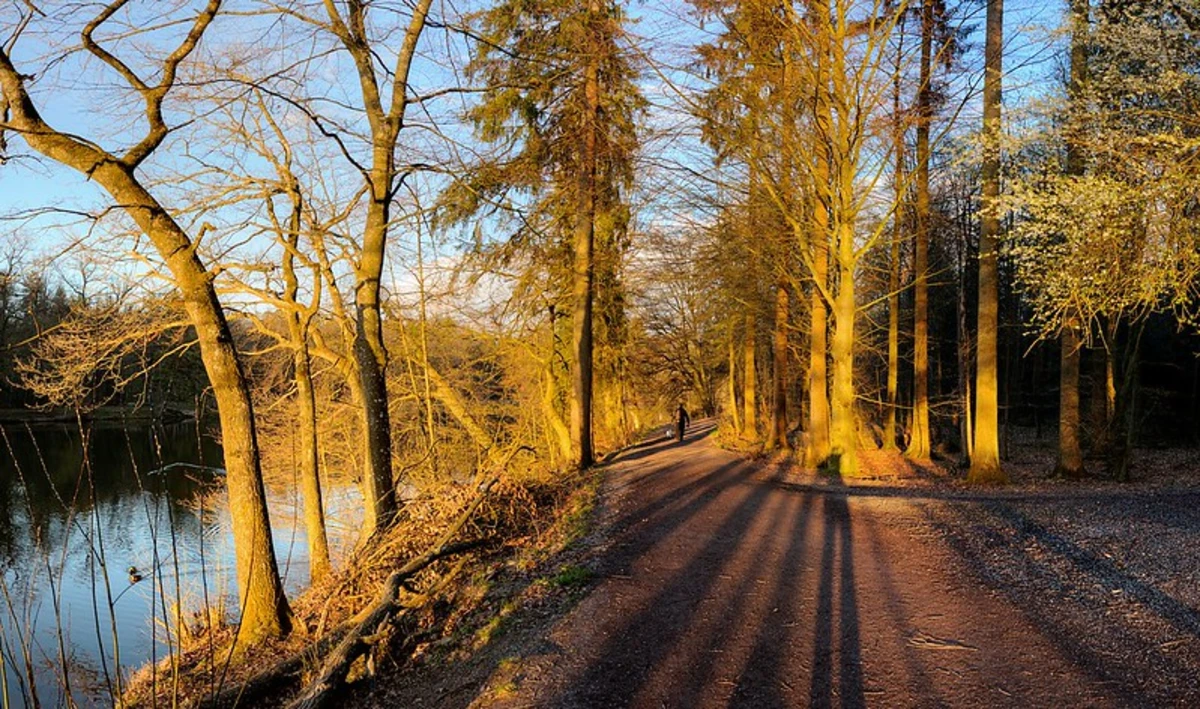 Pfaffensee and Bärensee Loop