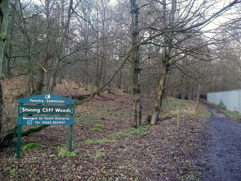 An image depicting the trail Shining Cliff and Peat Pits Wood Loop - Alderwasley and its surrounding area.