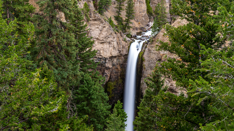 An image depicting the trail Yellowstone River Overlook Trail and its surrounding area.