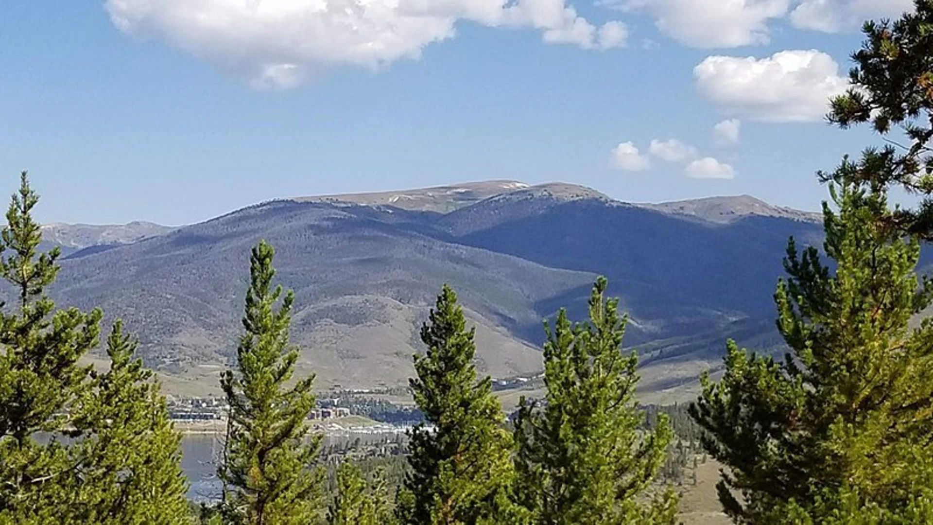 An image depicting the trail East Pioneer Creek Trail and its surrounding area.