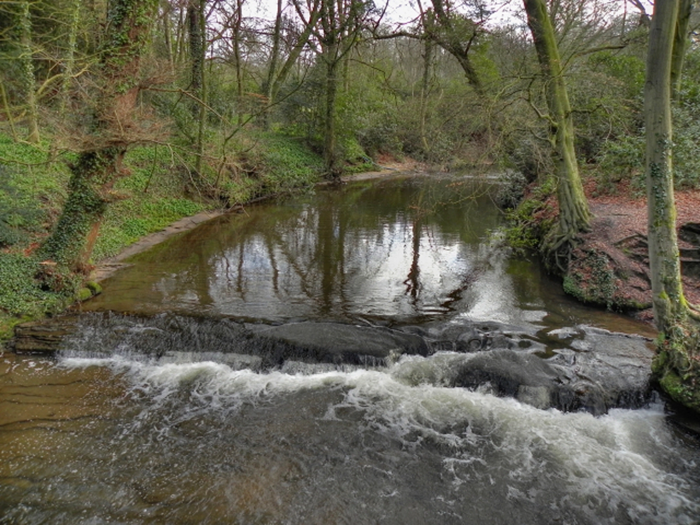 An image depicting the trail Northern Wood and The Carrs Walk and its surrounding area.