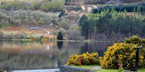 An image depicting the trail South Loch Ness Trail and its surrounding area.
