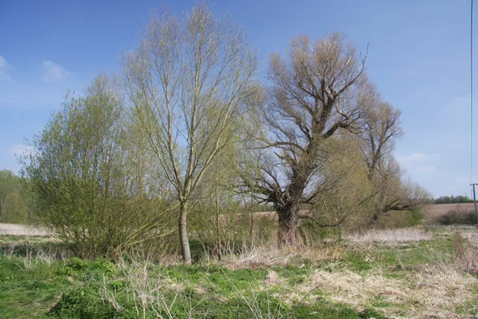An image depicting the trail No Man's Meadows Local Nature Reserve and its surrounding area.