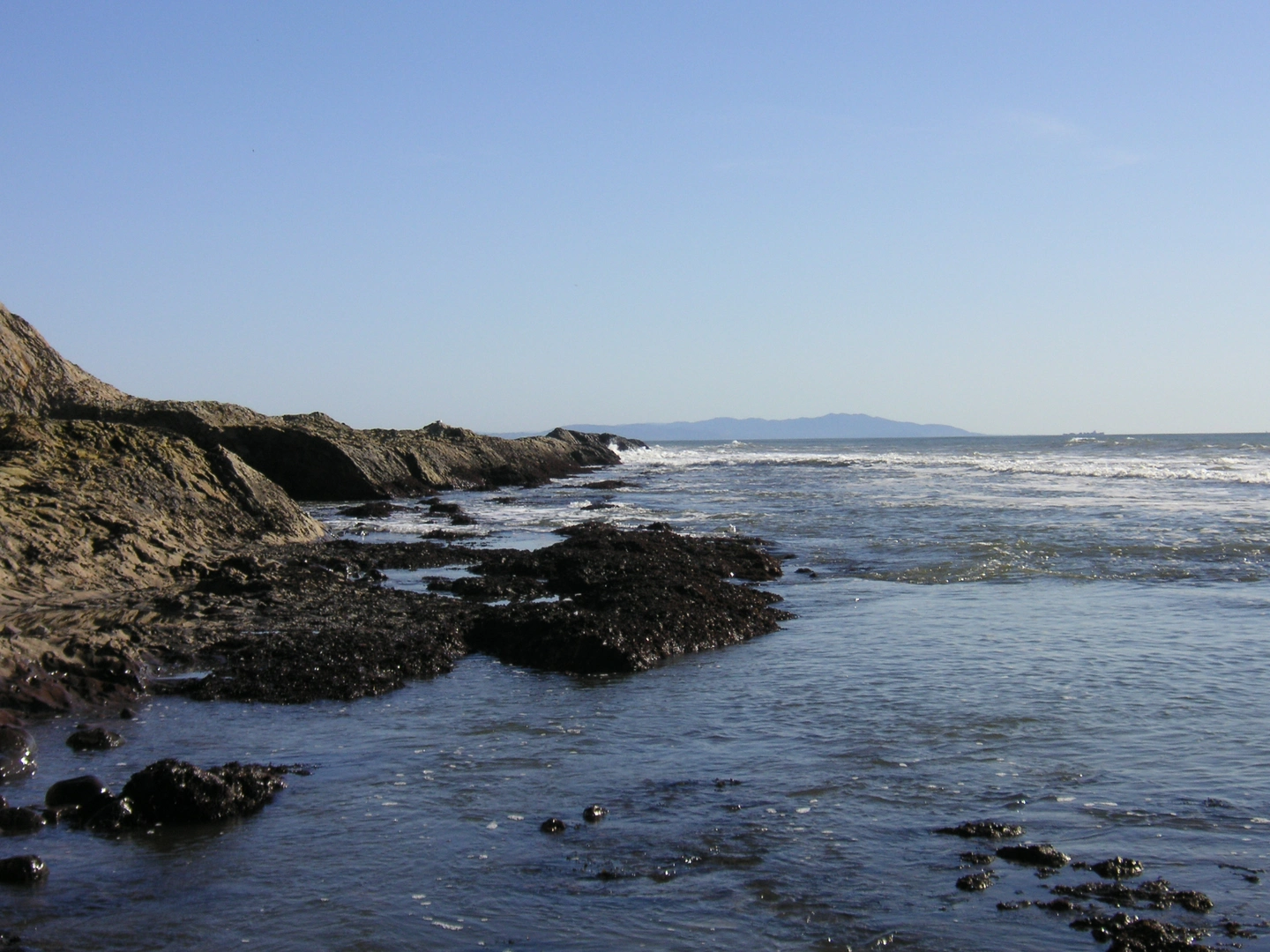 An image depicting the trail Duxbury Reef Trail and its surrounding area.