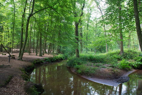 Kasteel Geijsteren and Holtmeulen Loop