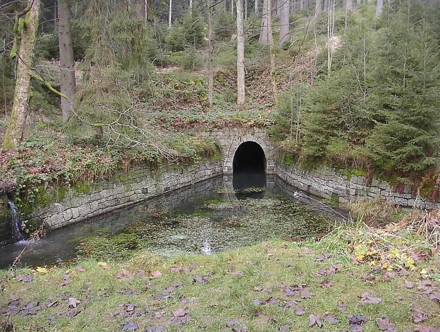 An image depicting the trail Jaegersbleeker Teich and Hirschler Teich via Harzklub Weg and its surrounding area.
