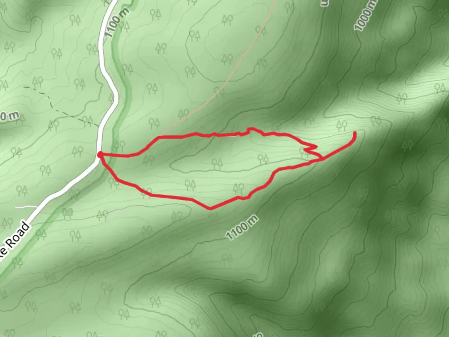 An image depicting the trail War Branch Trail - War Spur Loop and its surrounding area.