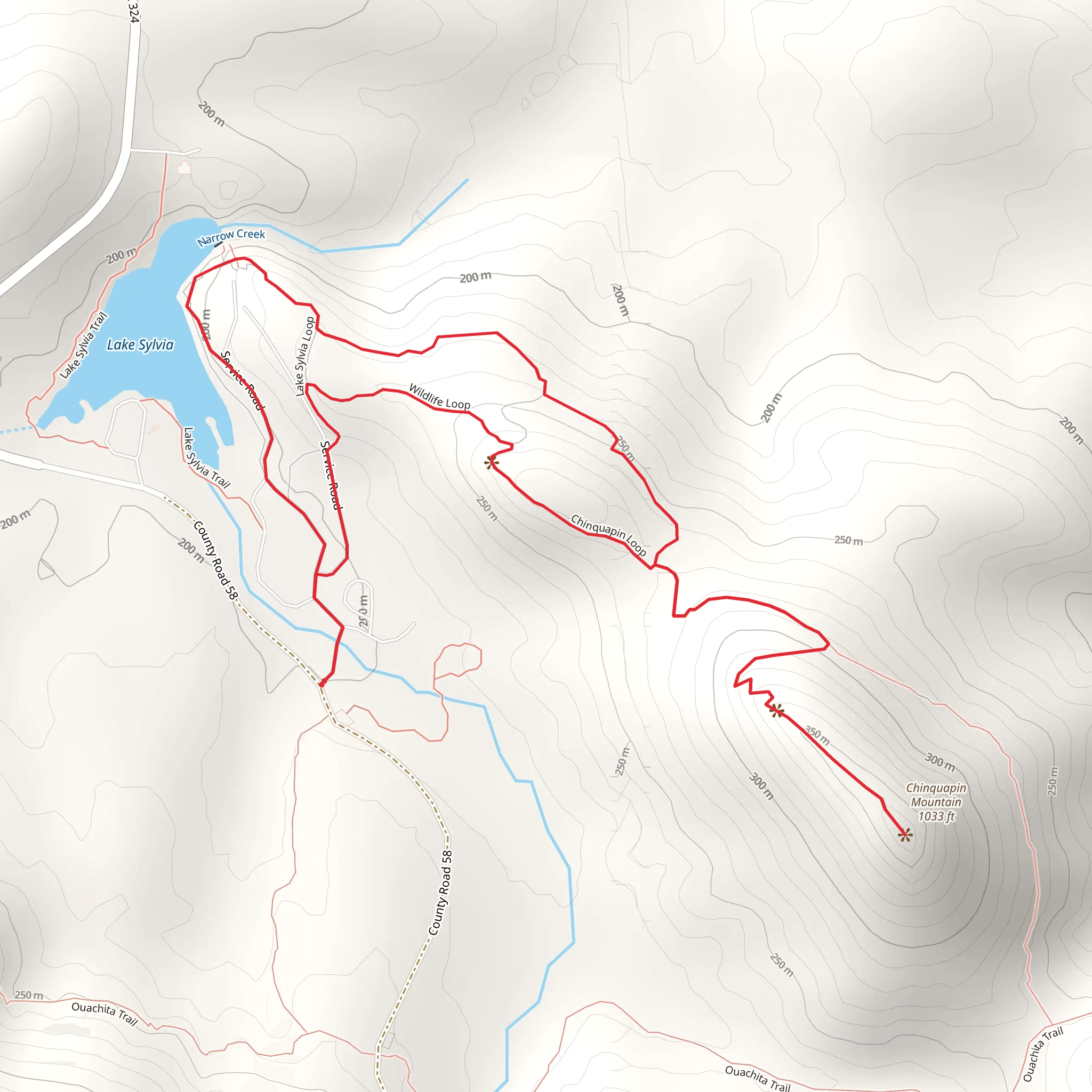 Chinquapin Mountain and Lake Sylvia Trail mobile static map