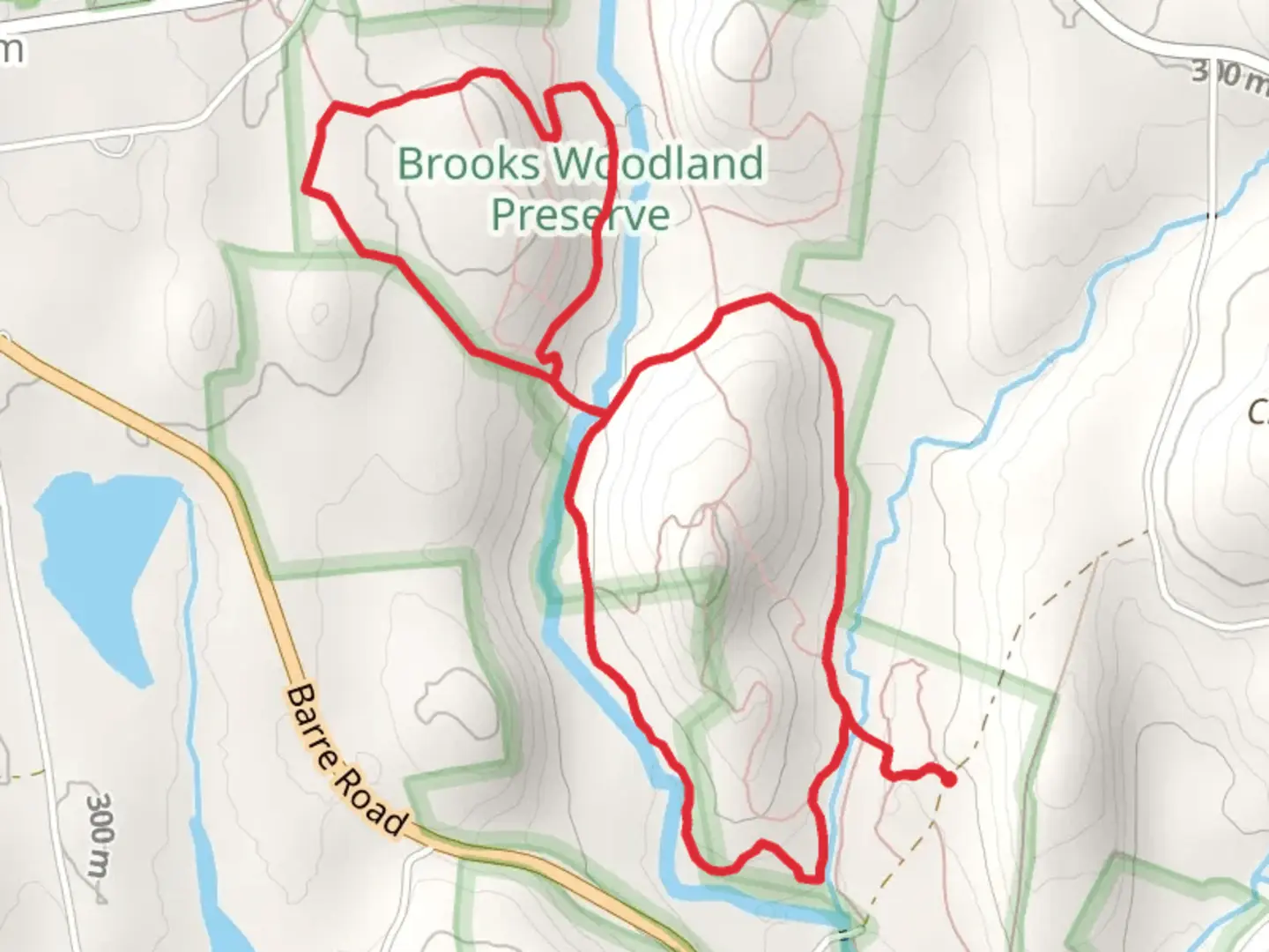 An image depicting the trail East Branch Swift River Loop and its surrounding area.