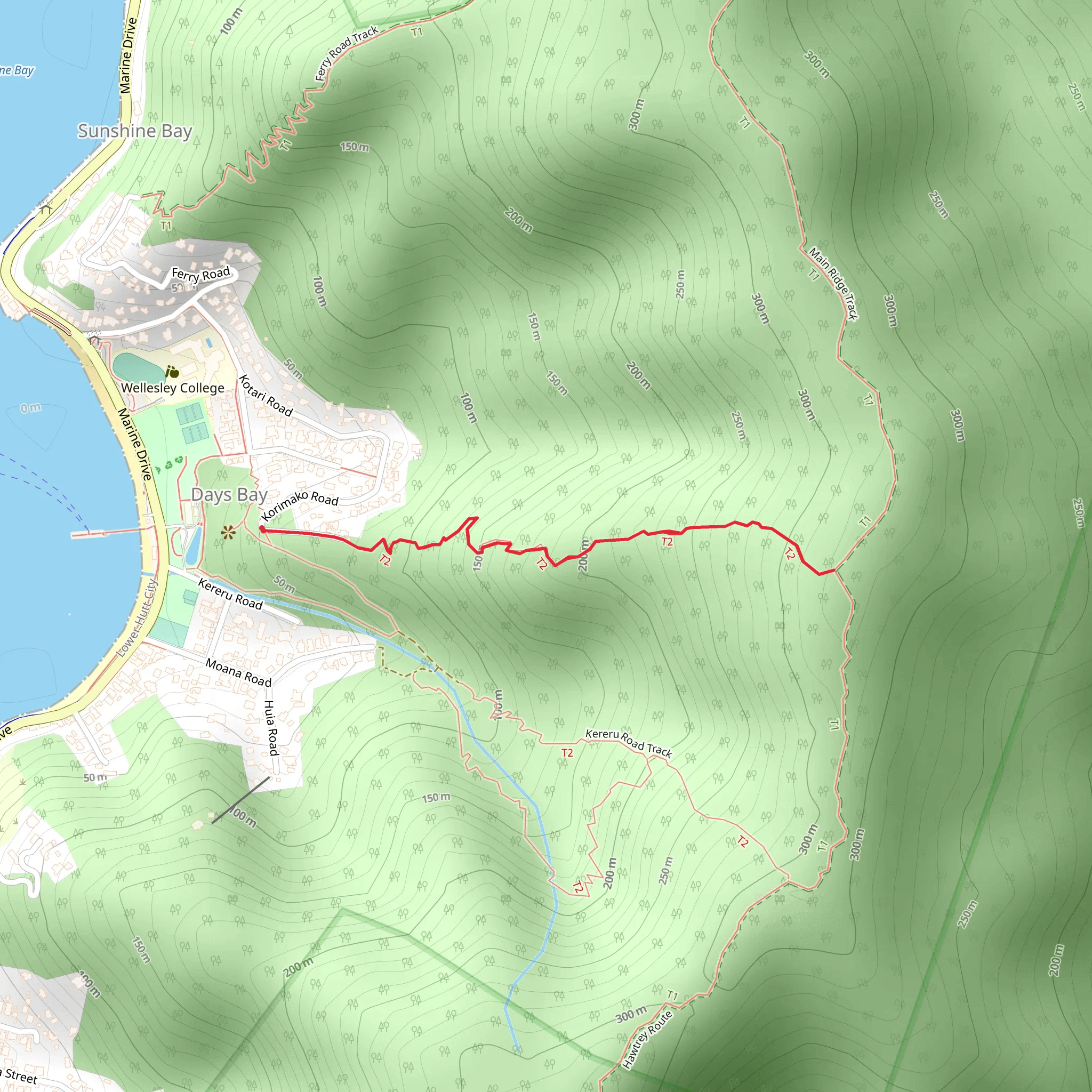 Korimako Road Track mobile static map