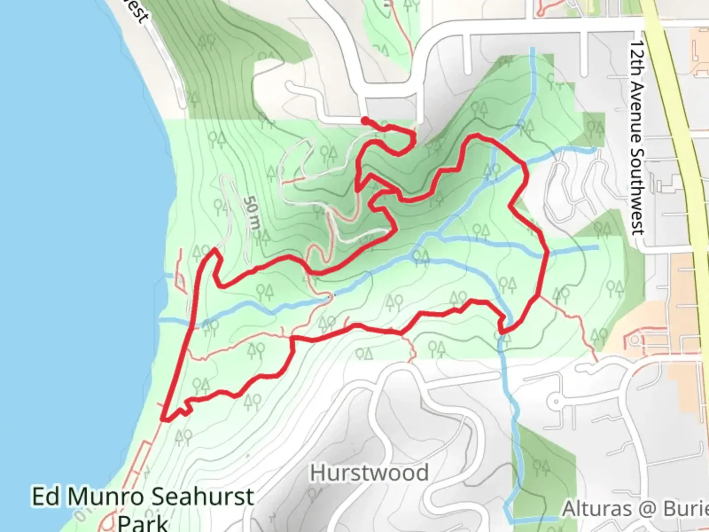 An image depicting the trail Ed Munro Seahurst Park Loop - North and its surrounding area.