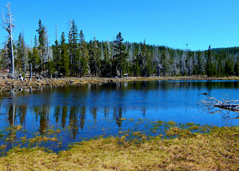 An image depicting the trail Little Three Creek Lake Trail and its surrounding area.