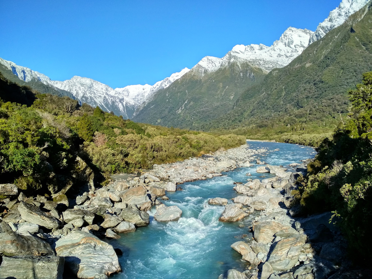 An image depicting the trail Copland Track to Welcome Flat Hut and its surrounding area.