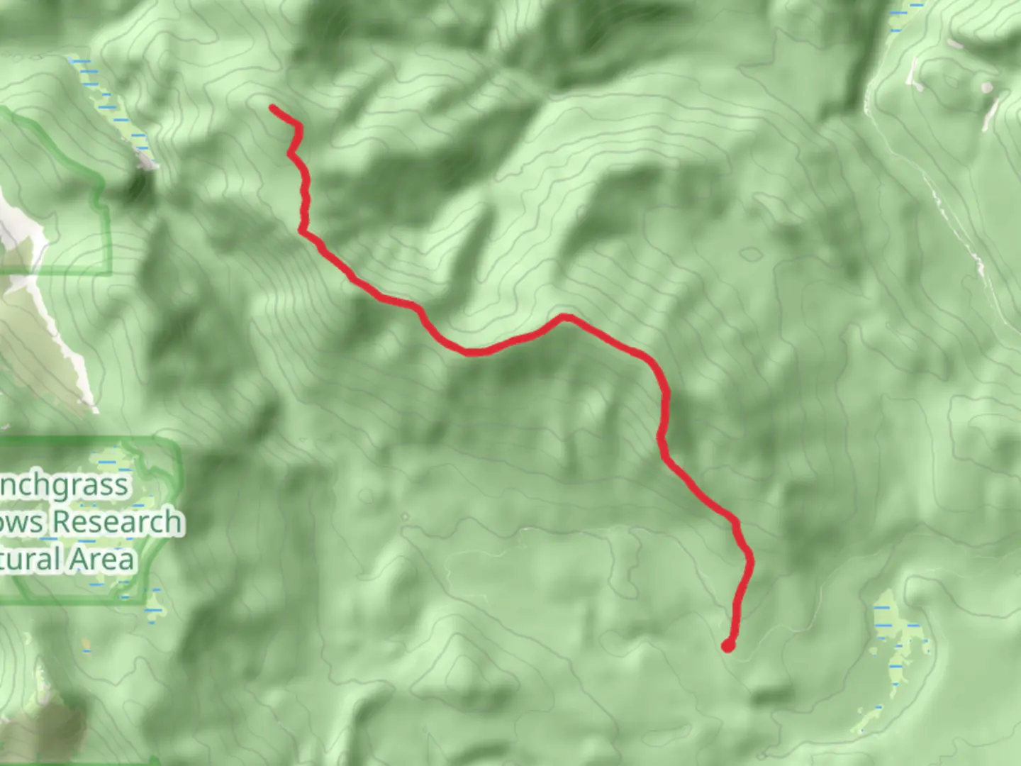 An image depicting the trail Tillicum Peak Trail and its surrounding area.
