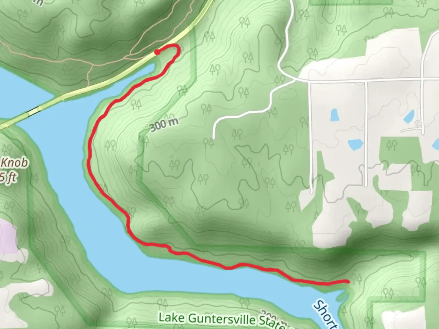An image depicting the trail Cutchenmine Trail and its surrounding area.