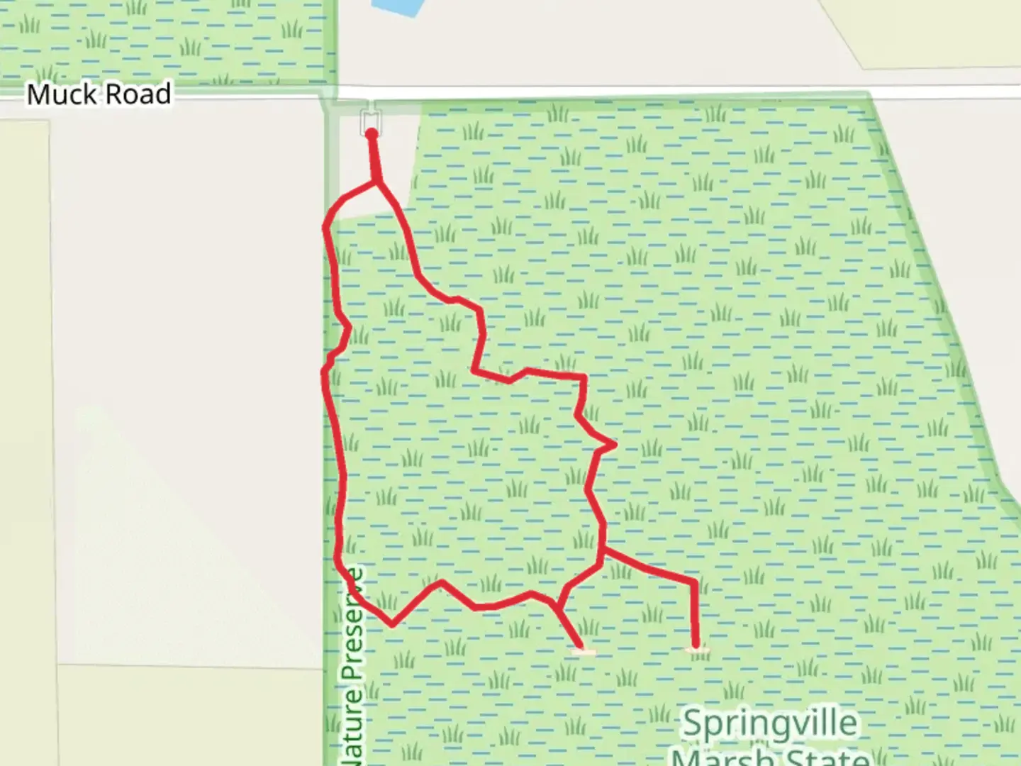 An image depicting the trail Springville Marsh Boardwalk Loop and its surrounding area.