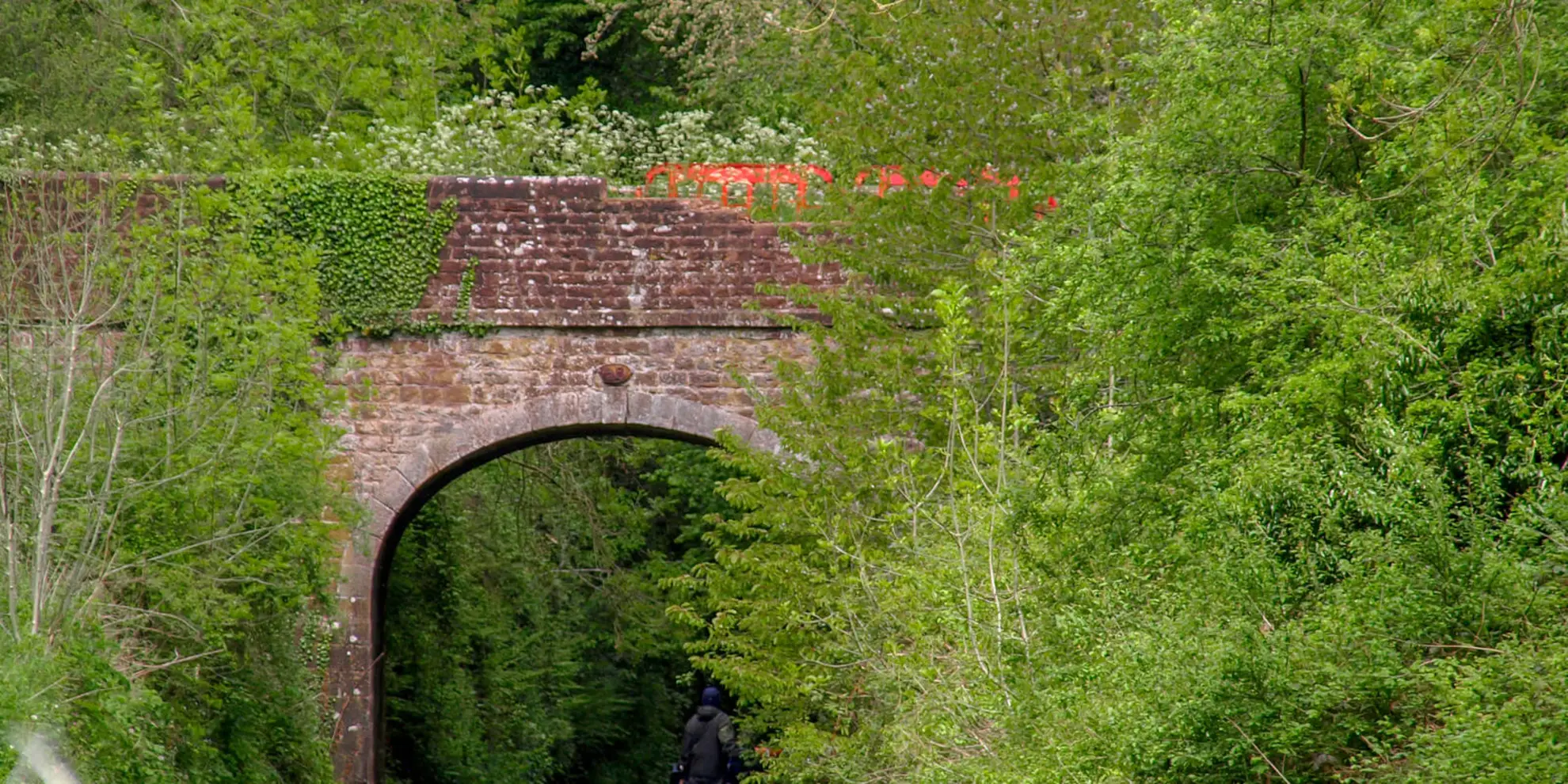 An image depicting the trail Chillington Hall and Shropshire Union Canal from Brewood and its surrounding area.