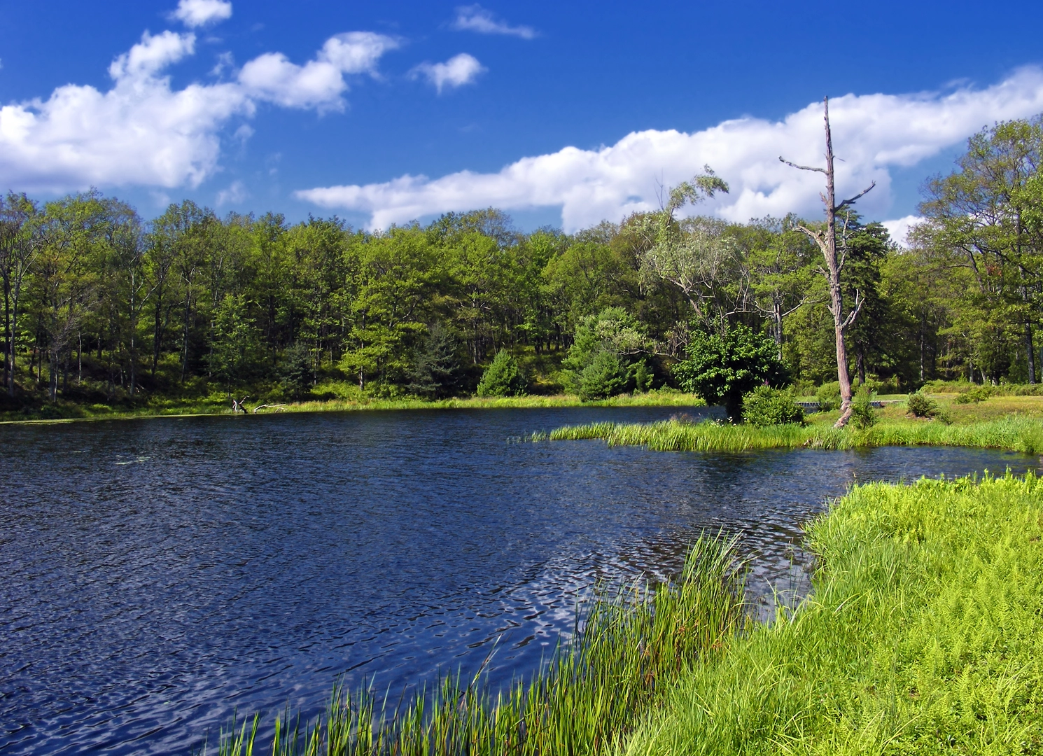 An image depicting the trail Stairway Lake Trail and its surrounding area.