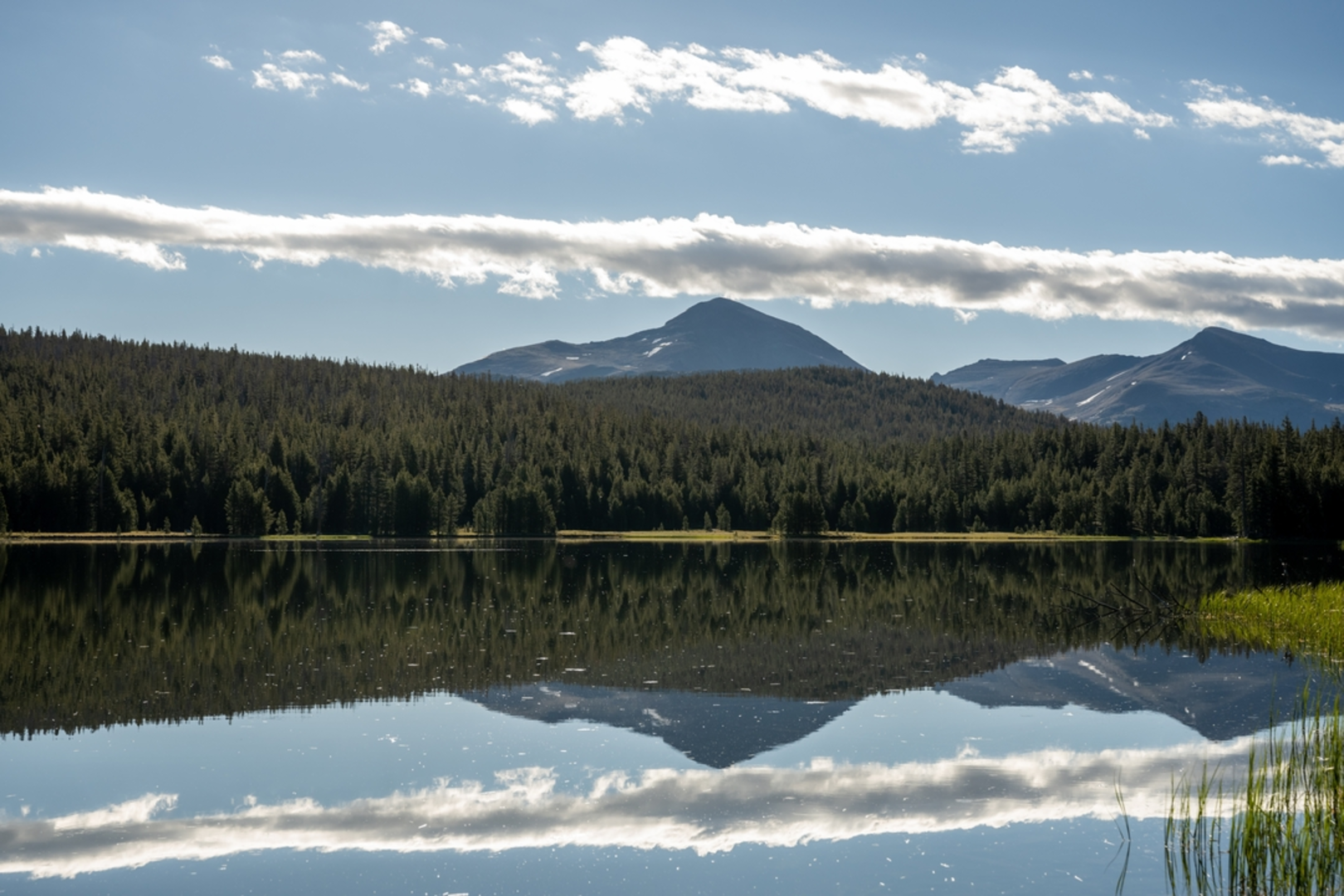 An image depicting the trail Water Dog Lake - Belmont Creek Loop and its surrounding area.