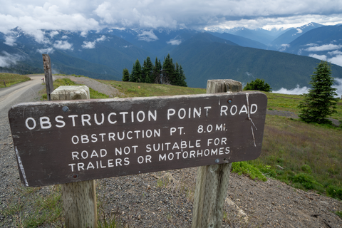 An image depicting the trail Badger Valley via Obstruction Point - Deer Park Trail and its surrounding area.